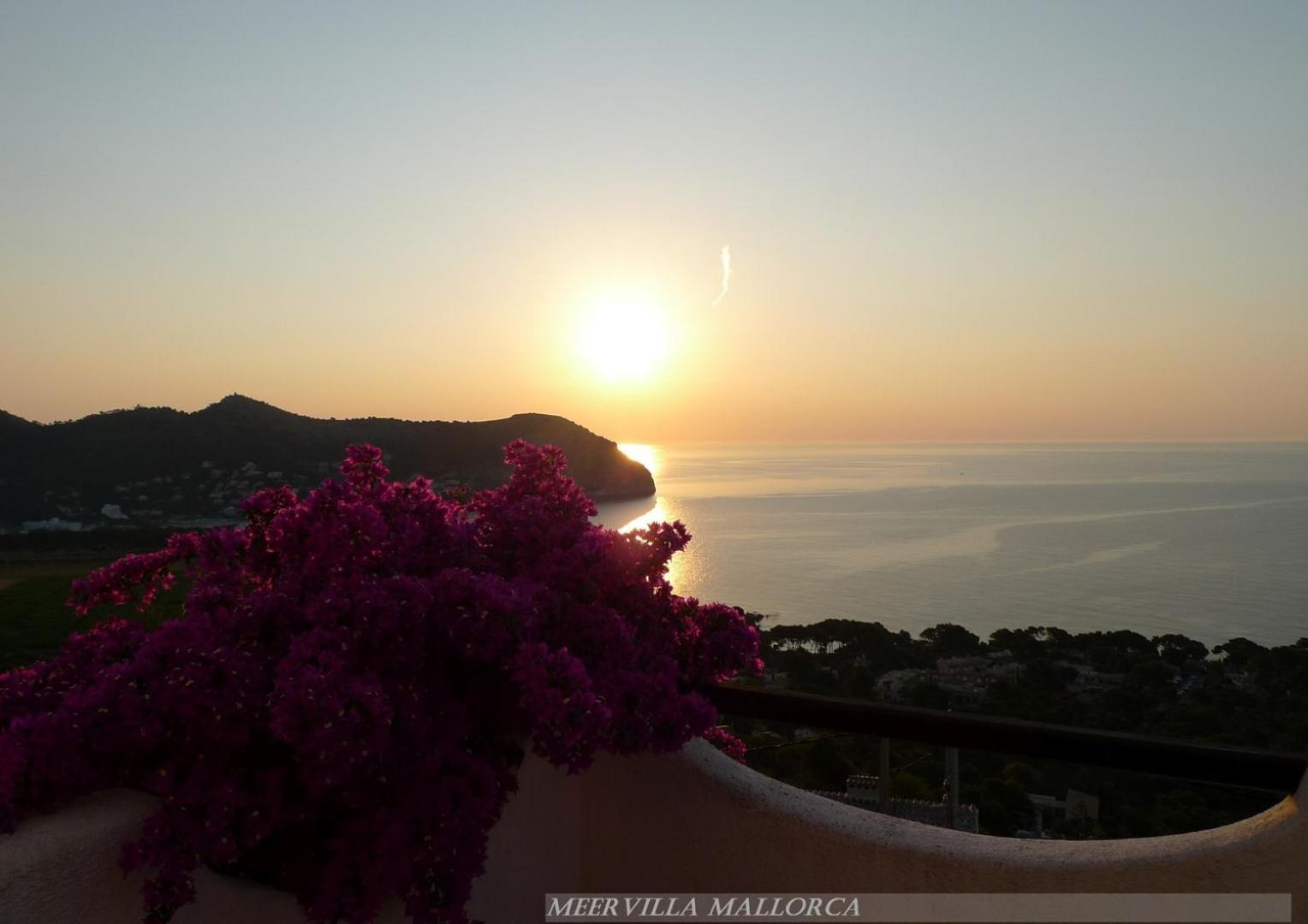 Meervilla Mallorca - Charmantes Mit Phantastischem Meerblick In Hébergement de vacances